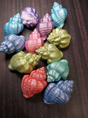 Assorted Colorful Goblet Shell - Loving Coastal Living