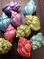Assorted Colorful Goblet Shell - Loving Coastal Living