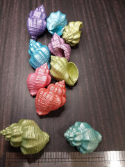 Assorted Colorful Goblet Shell - Loving Coastal Living