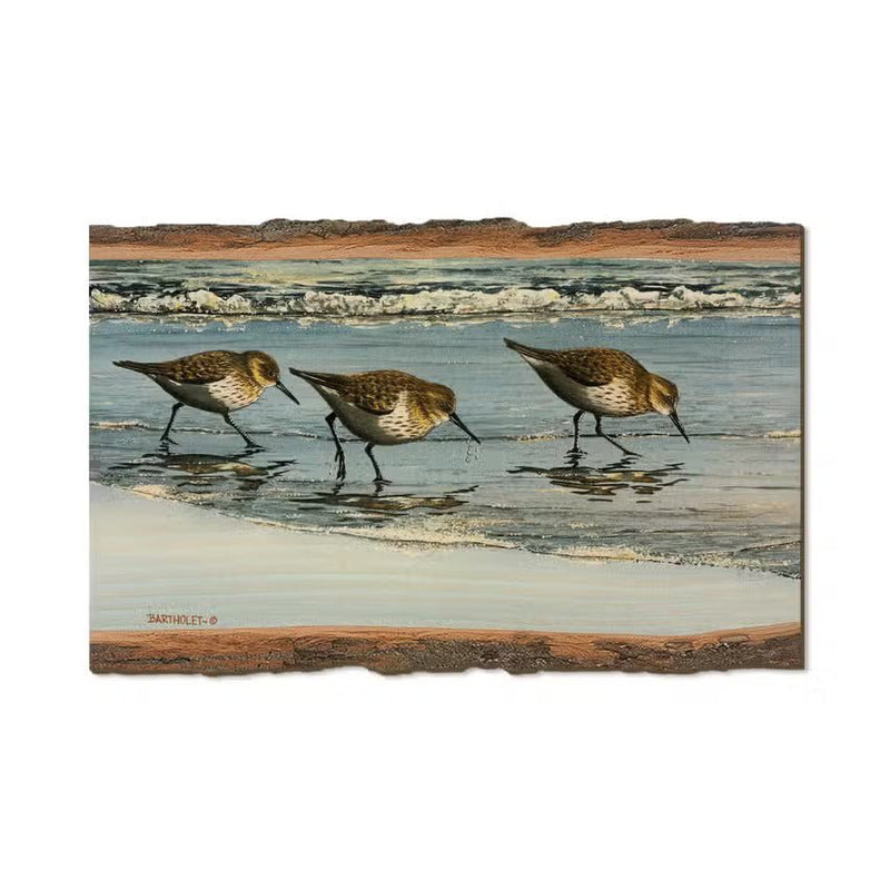 Beach Breakfast - Wood Magnets - Accent DecorDaydreamHQ