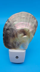 Black lip mother of pearl shell night light