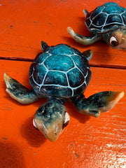 Big Eye Turtle Figurine (Squirt) - Accent DecorWorld Shells Imports