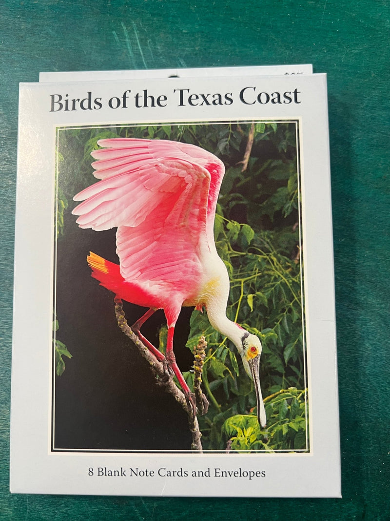 Birds of Texas Coast Note Cards - stationaryQuick Reference