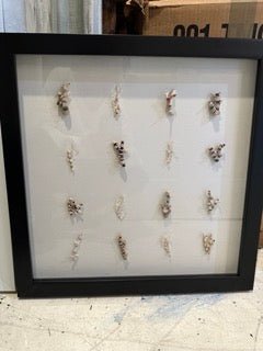 Black Frame with Bamboo Coral Shadow Box - Loving Coastal Living