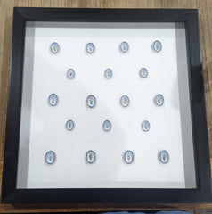 Black Shadowbox Frame with Blue Limpet Shells - Loving Coastal Living