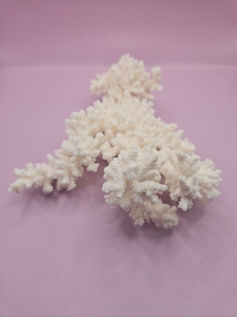 Branch Coral 10.5" - Loving Coastal Living