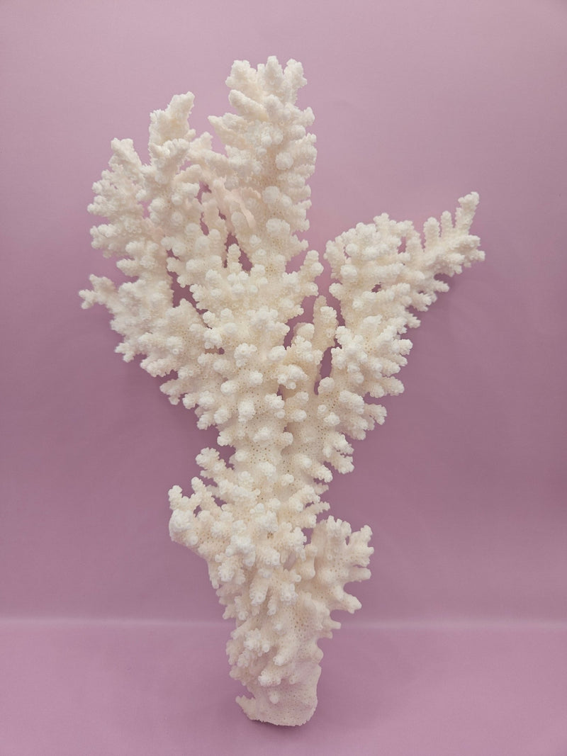 Branch Coral 10.5" - Loving Coastal Living