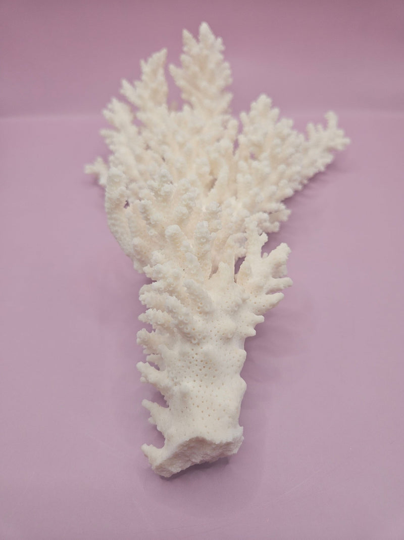 Branch Coral 10.5" - Loving Coastal Living