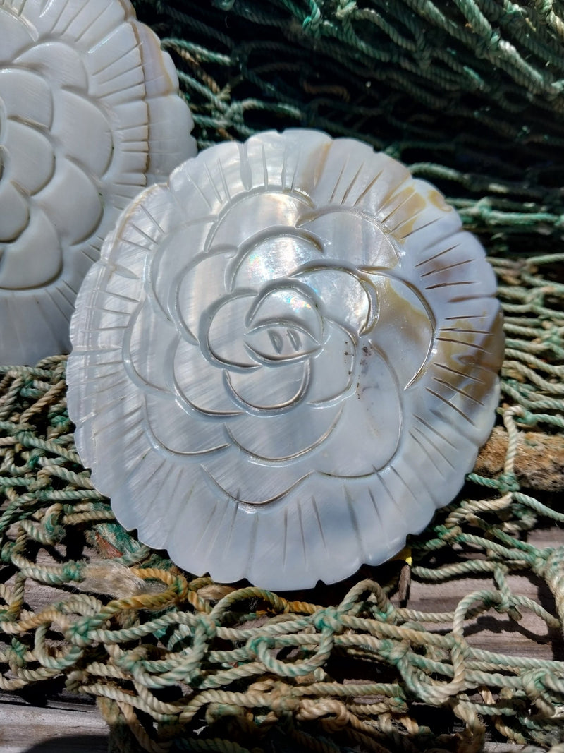 Carved River Clam - Loving Coastal Living