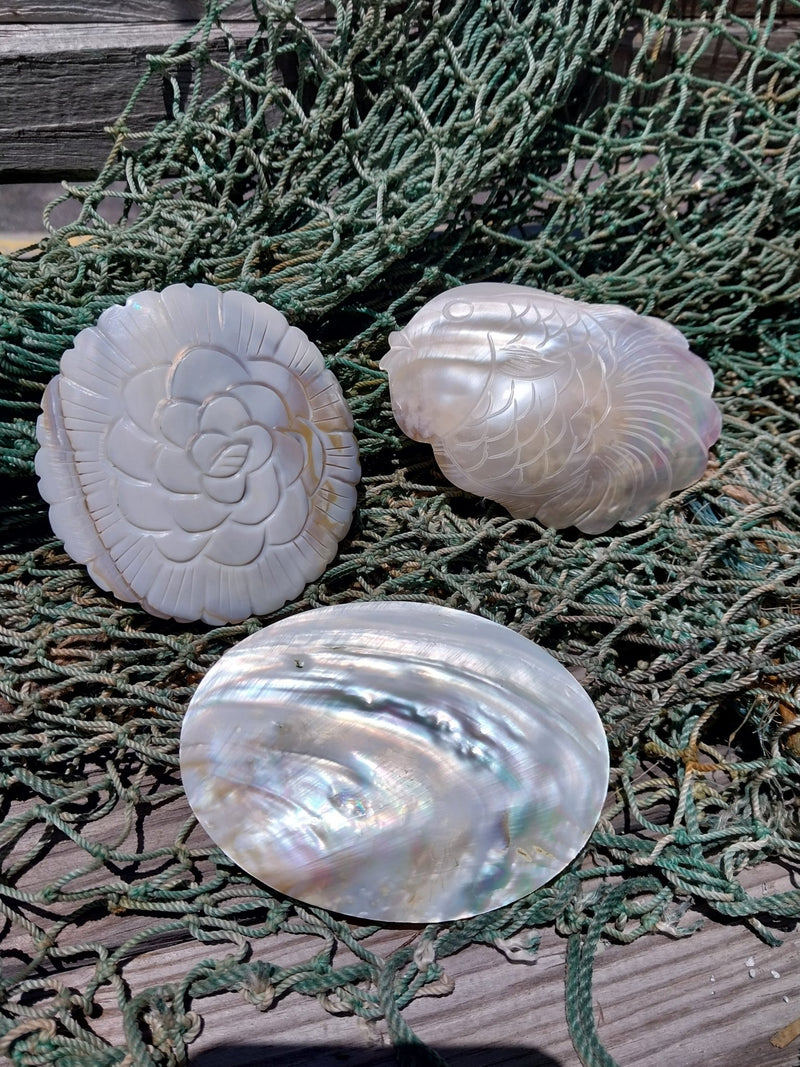 Carved River Clam - Loving Coastal Living
