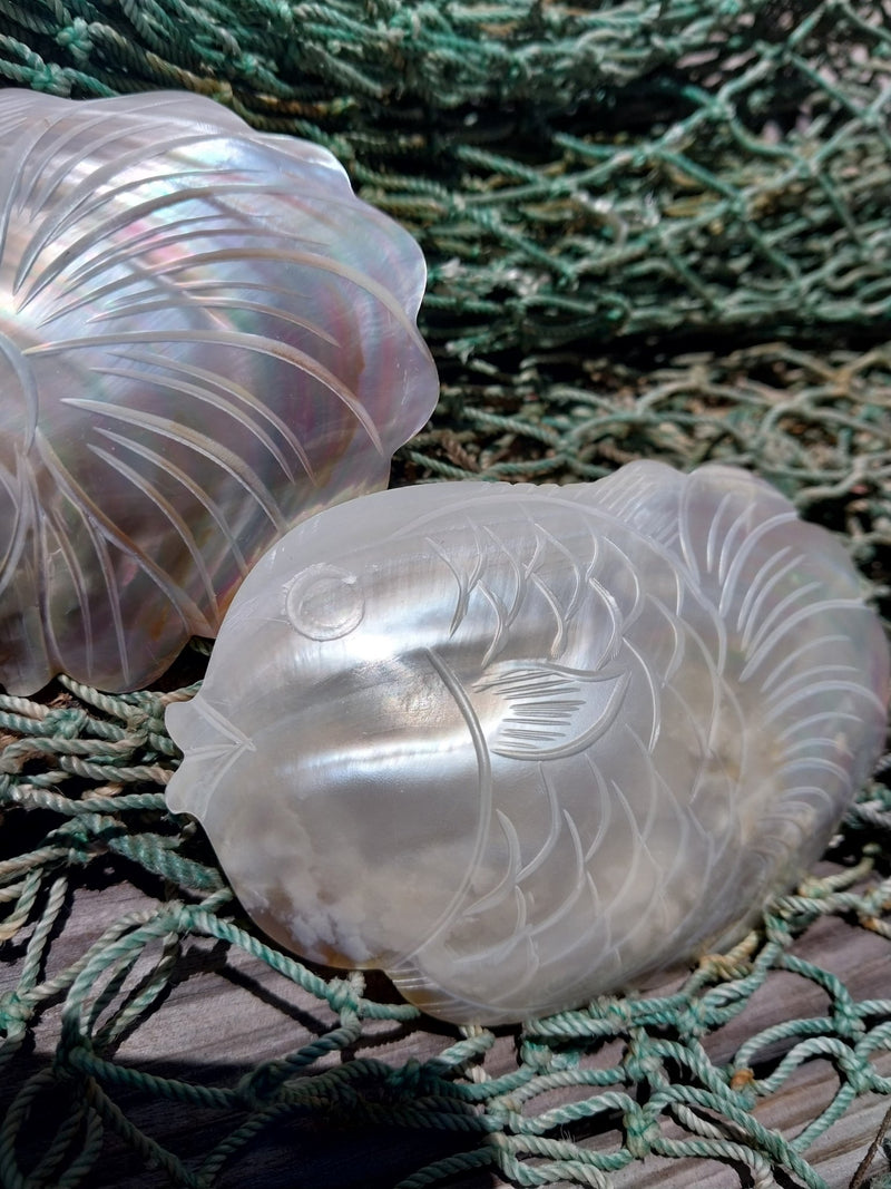 Carved River Clam - Loving Coastal Living