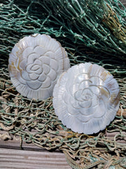 Carved River Clam - Loving Coastal Living