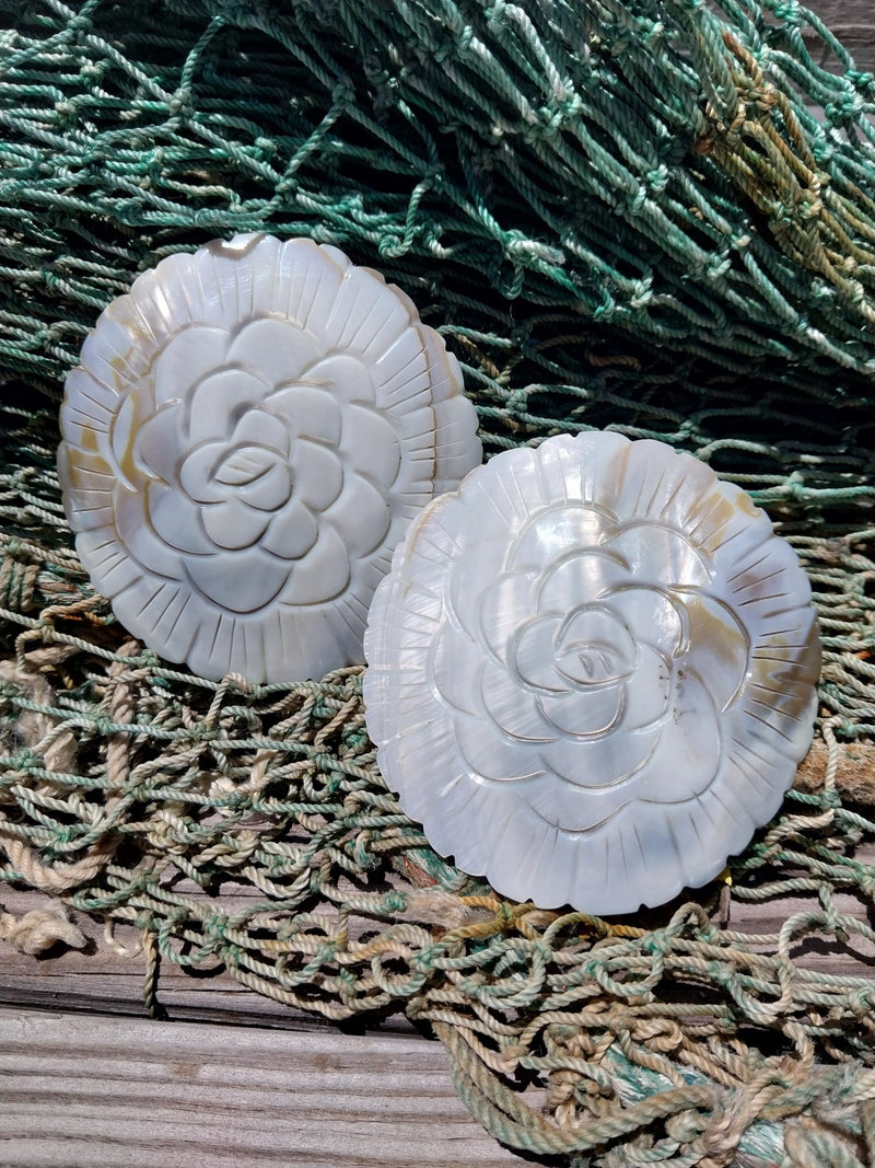 Carved River Clam - Loving Coastal Living