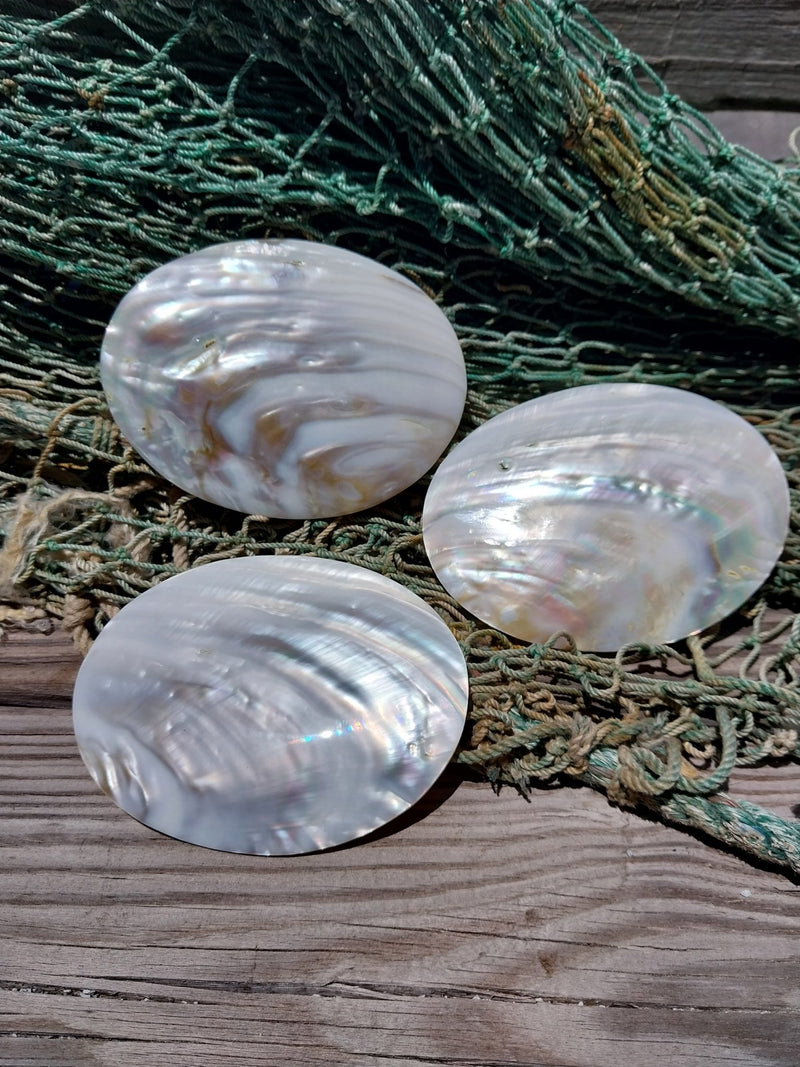 Carved River Clam - Loving Coastal Living