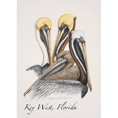 Changing Seasons Brown Pelican Greeting Card – 5″ x 7″ - Earth Sky + Water