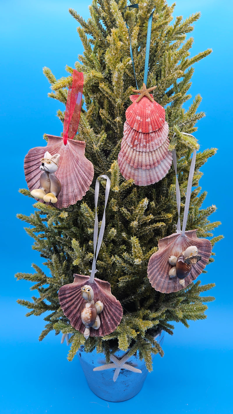 Scallop Shell ornaments