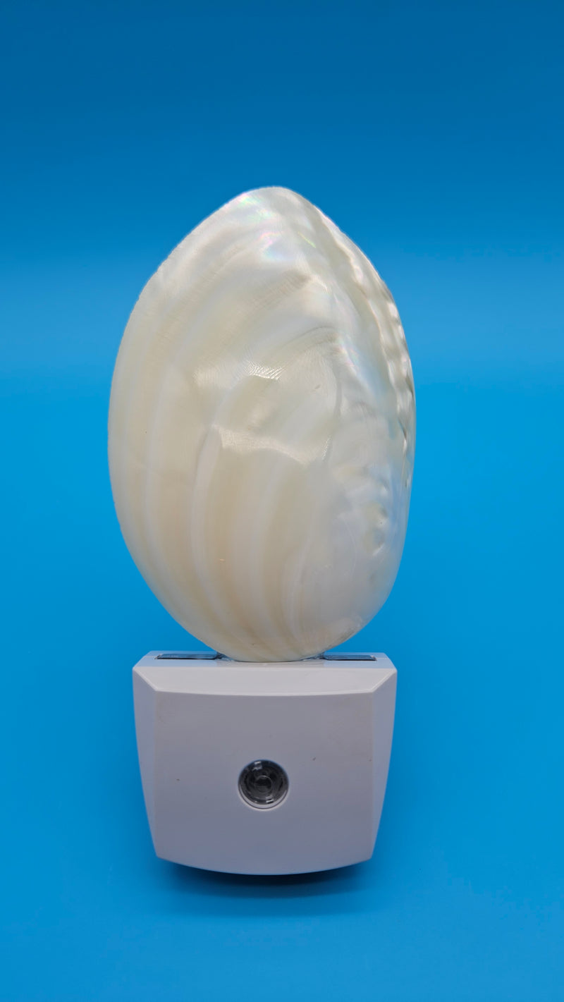 Pearl white clam shell LED night light