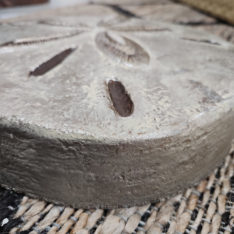 Concrete Sand Dollar Stepping Sone - OutdoorRaul Guterrez