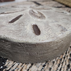 Concrete Sand Dollar Stepping Sone - OutdoorRaul Guterrez