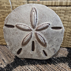 Concrete Sand Dollar Stepping Sone - OutdoorRaul Guterrez