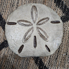 Concrete Sand Dollar Stepping Sone - OutdoorRaul Guterrez