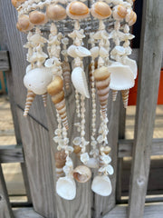 Cowry Shell Wind Chime - 3 Shell Types - windchimeWorld Shells Imports