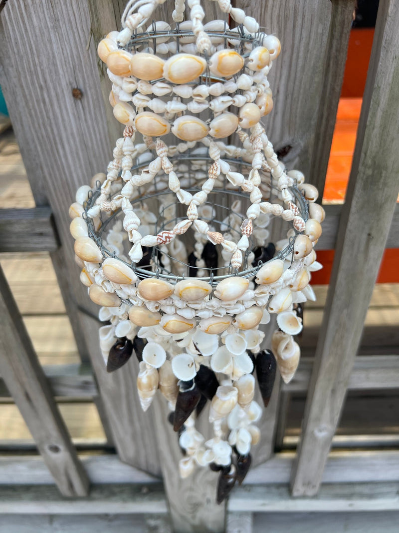 Cowry Shell Wind Chime - 3 Shell Types - windchimeWorld Shells Imports