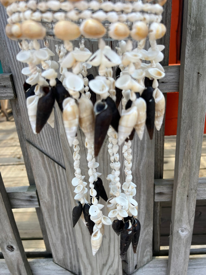 Cowry Shell Wind Chime - 3 Shell Types - windchimeWorld Shells Imports