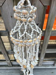 Cowry Shell Wind Chime - 3 Shell Types - windchimeWorld Shells Imports