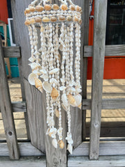 Cowry Shell Wind Chime - 3 Shell Types - windchimeWorld Shells Imports