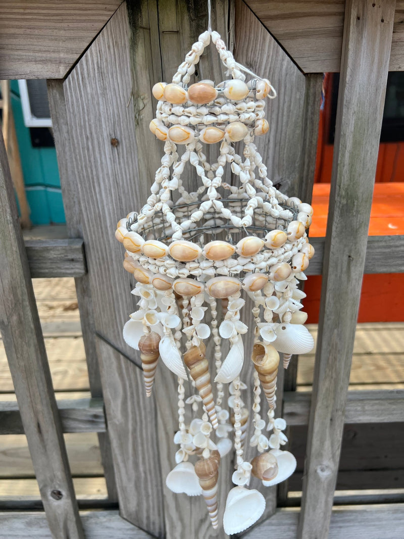 Cowry Shell Wind Chime - 3 Shell Types - windchimeWorld Shells Imports