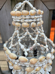 Cowry Shell Wind Chime - 3 Shell Types - windchimeWorld Shells Imports