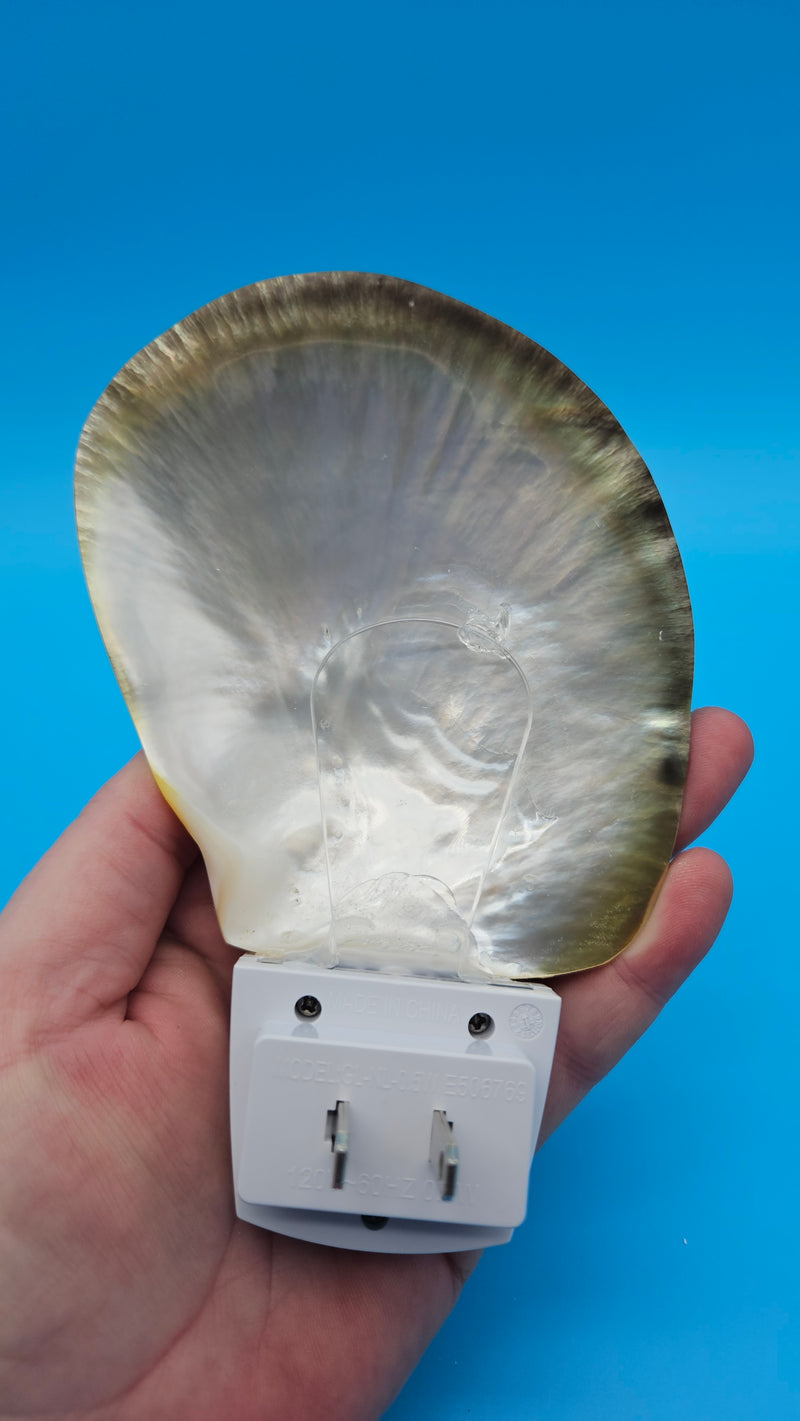 Iridescent mother of pearl shell LED night light