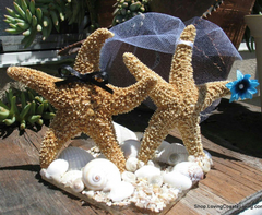 Coastal Beach Wedding Cake Topper- Sugar Starfish Bride and Groom
