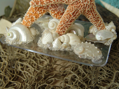 Coastal Beach Wedding Cake Topper- Sugar Starfish Bride and Groom