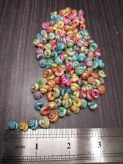 Dyed Malabar Snail Shells - Loving Coastal Living