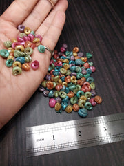 Dyed Malabar Snail Shells - Loving Coastal Living