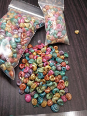 Dyed Malabar Snail Shells - Loving Coastal Living