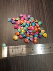 Dyed Umbonium Shells - Loving Coastal Living