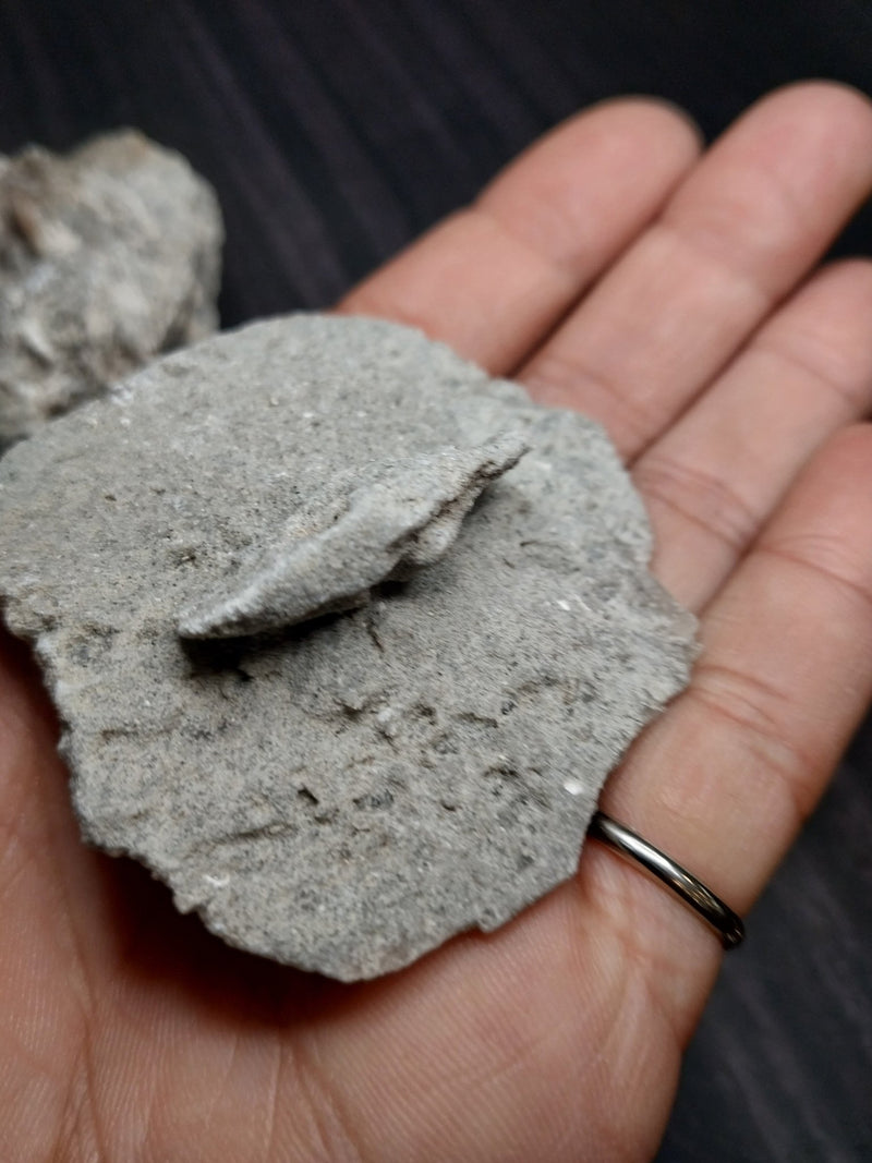 Elephant Ear Selenite Gypsum Quartz Mineral - Loving Coastal Living