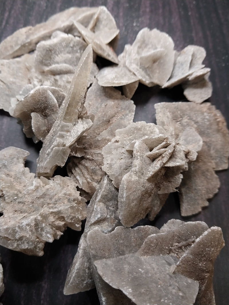 Elephant Ear Selenite Mineral - Loving Coastal Living