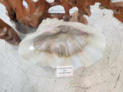 Faux Giant Clam Table - Accent DecorLoving Coastal Living