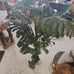 Faux Monstera Plant - Accent DecorShoreKept