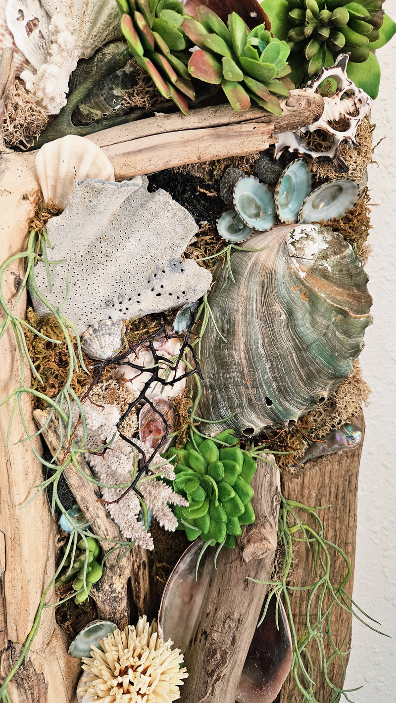 driftwood and philodendron artwork Pair of Coastal Driftwood & Succulent Mixed Media Wall Art Panels - 22