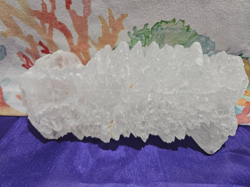 Fishtail Angelwing Selenite - Accent DecorLoving Coastal Living