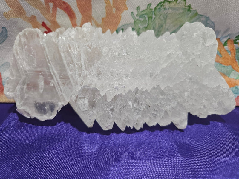 Fishtail Angelwing Selenite - Accent DecorLoving Coastal Living