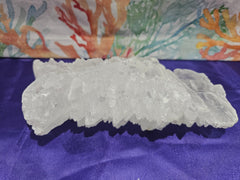 Fishtail Angelwing Selenite - Accent DecorLoving Coastal Living