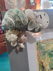 Framed Mermaid Print With Shells - Wall DecorLoving Coastal Living