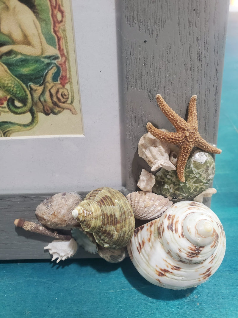 Framed Mermaid Print With Shells - Wall DecorLoving Coastal Living