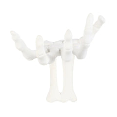 Gothic Halloween Skeleton Hand Wall Hook - Something Different Wholesale